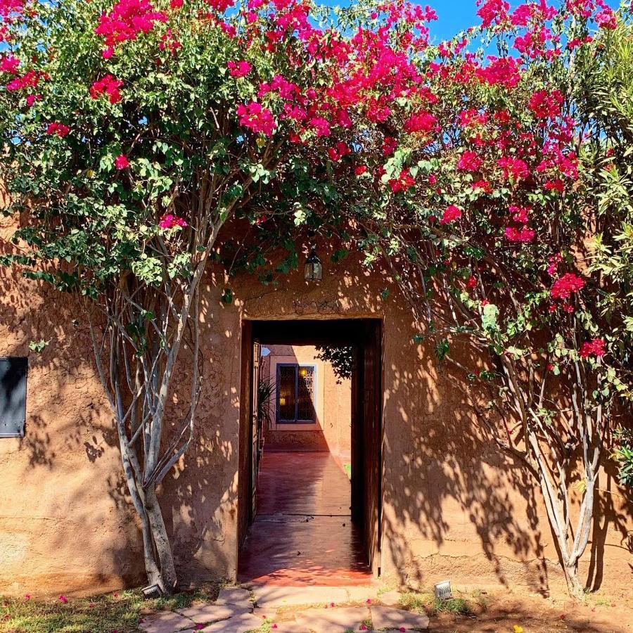 La Ferme Berbere Adult Only Bed and Breakfast El Harkat Exteriör bild