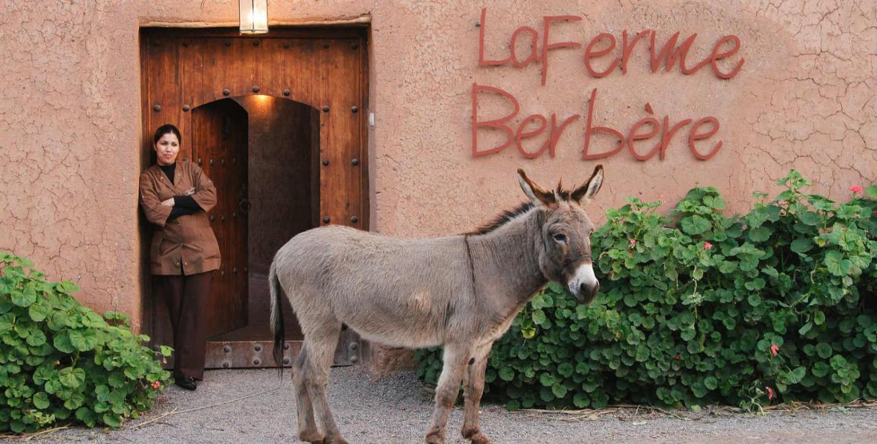 La Ferme Berbere Adult Only Bed and Breakfast El Harkat Exteriör bild