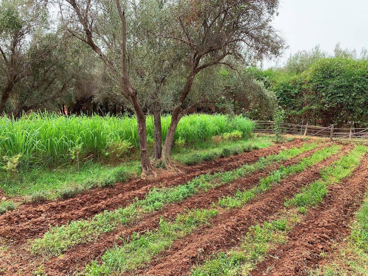 La Ferme Berbere Adult Only Bed and Breakfast El Harkat Exteriör bild