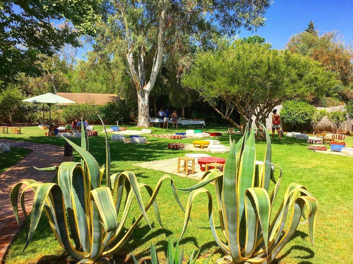 La Ferme Berbere Adult Only Bed and Breakfast El Harkat Exteriör bild