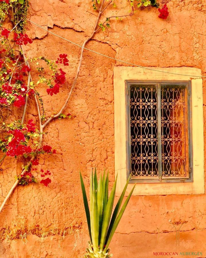 La Ferme Berbere Adult Only Bed and Breakfast El Harkat Exteriör bild