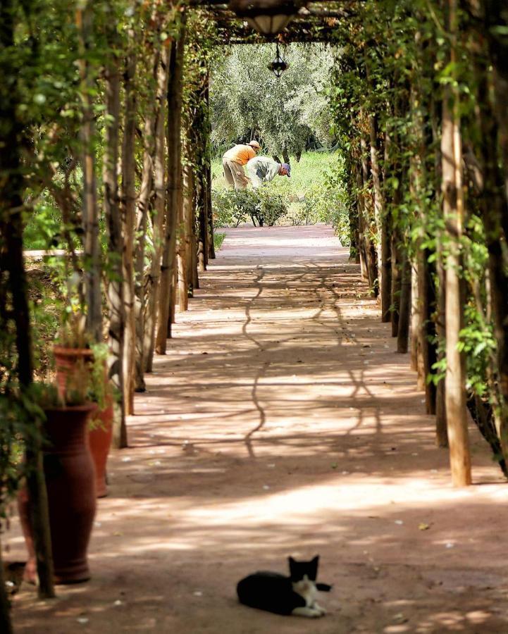 La Ferme Berbere Adult Only Bed and Breakfast El Harkat Exteriör bild