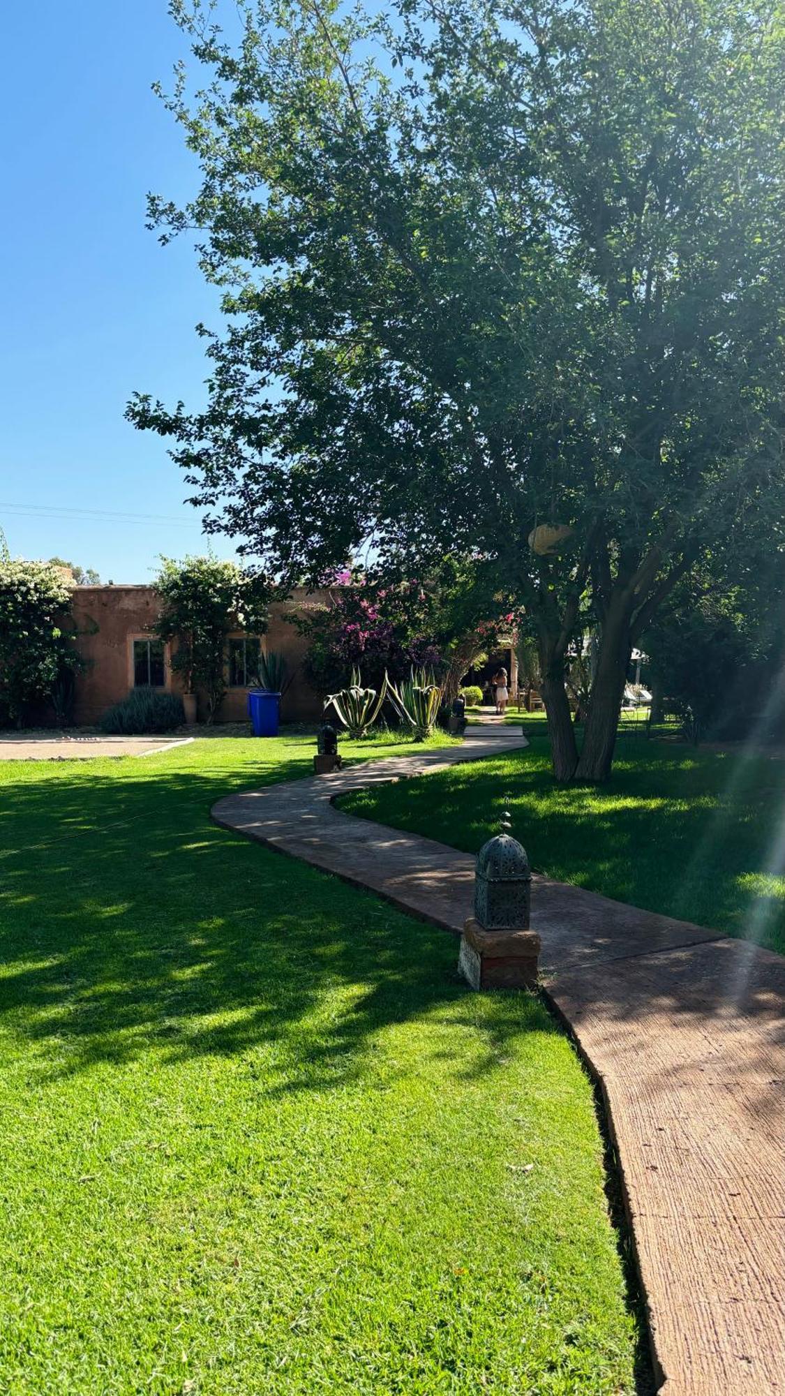 La Ferme Berbere Adult Only Bed and Breakfast El Harkat Exteriör bild