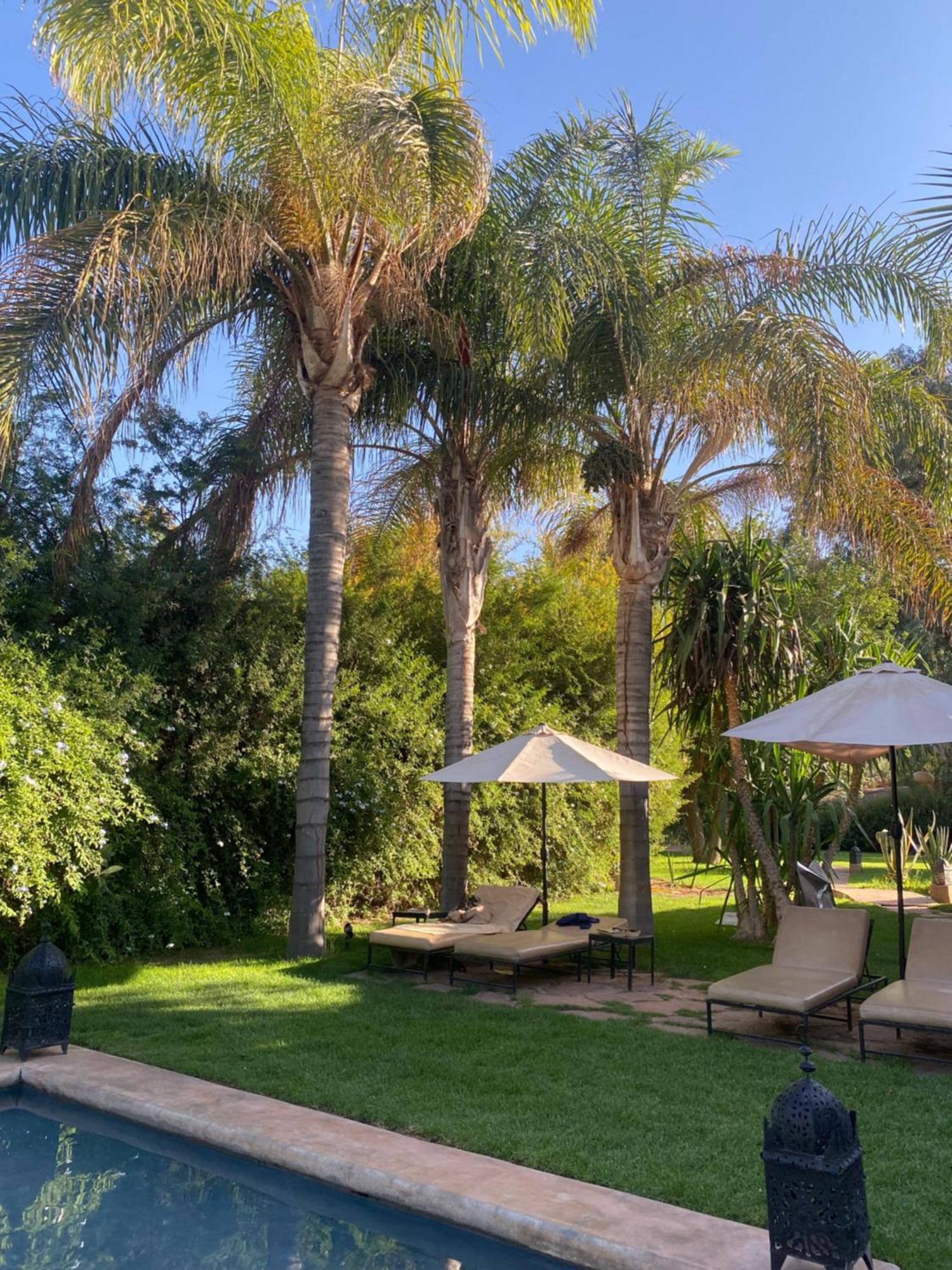 La Ferme Berbere Adult Only Bed and Breakfast El Harkat Exteriör bild
