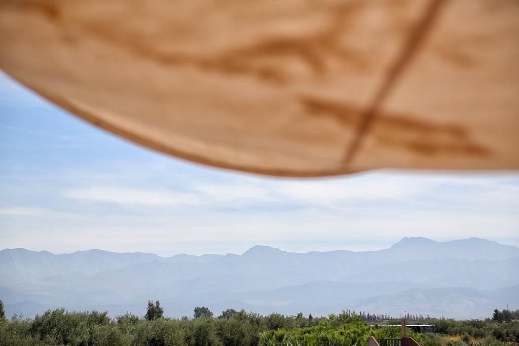 La Ferme Berbere Adult Only Bed and Breakfast El Harkat Exteriör bild